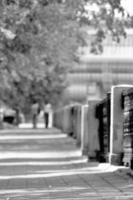 Девушки позирующие ню на улице (69 фото)