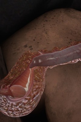 Искусственное осеменение женщин в порно