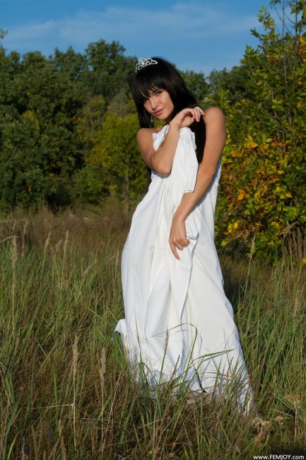 Темноволосая принцесса в поле