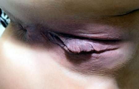 Голые женские промежности на любой вкус