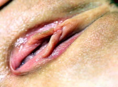 Голые женские промежности на любой вкус