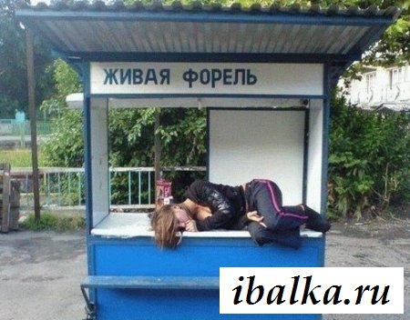 Эротические шалости пьяных распутных девах