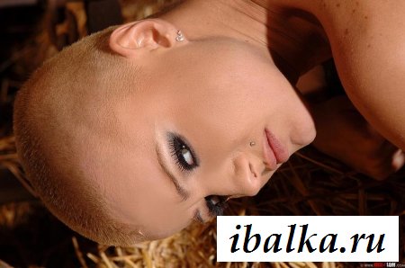 Лысая шлюха попала впросак Лысая шлюха попала впросак