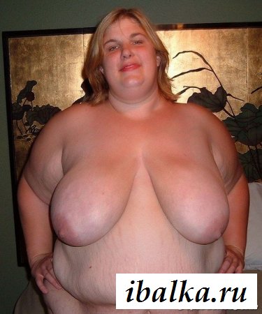 Толстая корова играется с огромными дойками