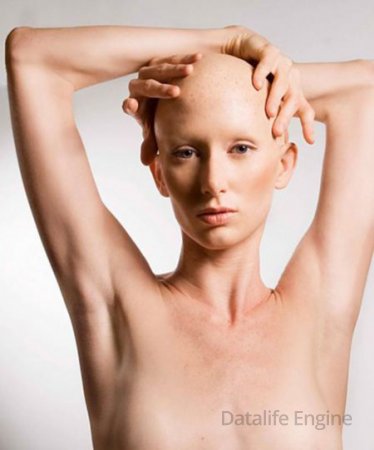 Эротика от голых лысых девушек