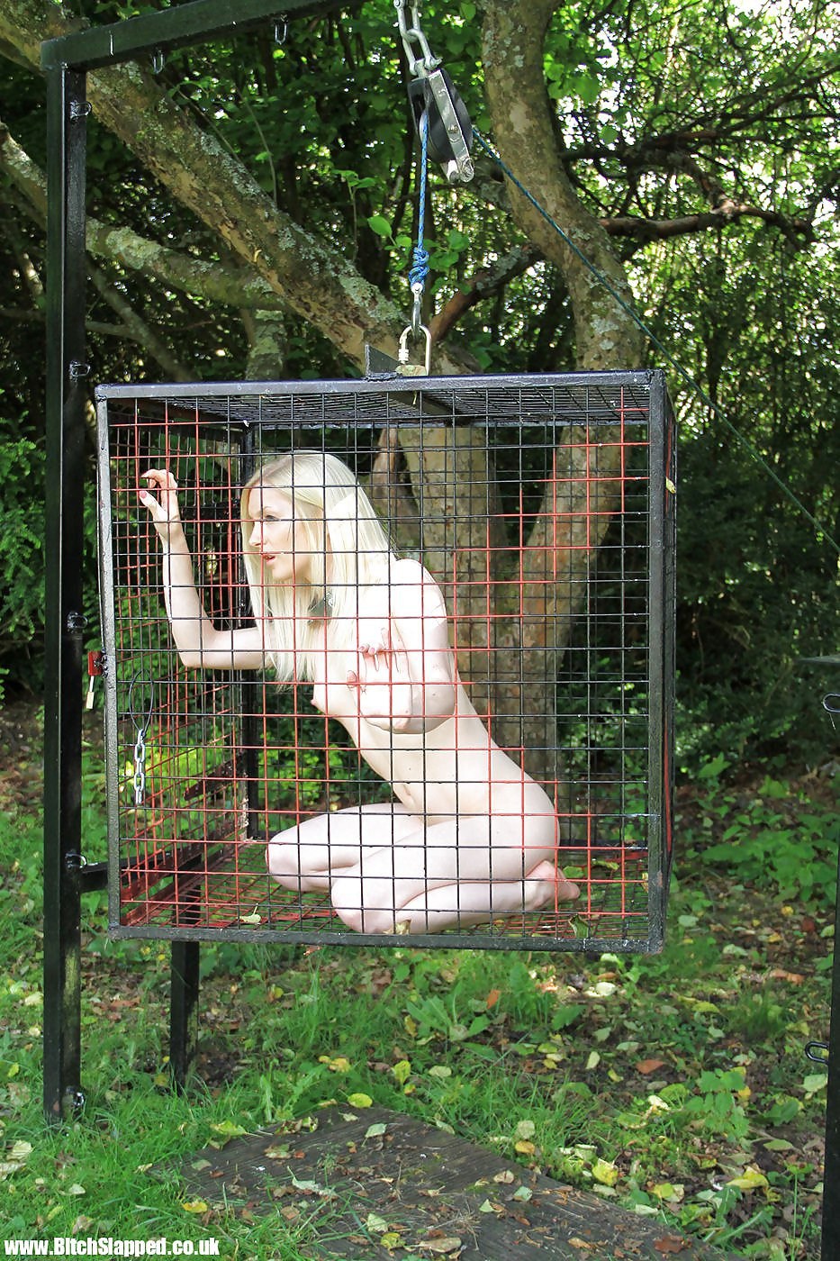 Девушки в клетке голышом