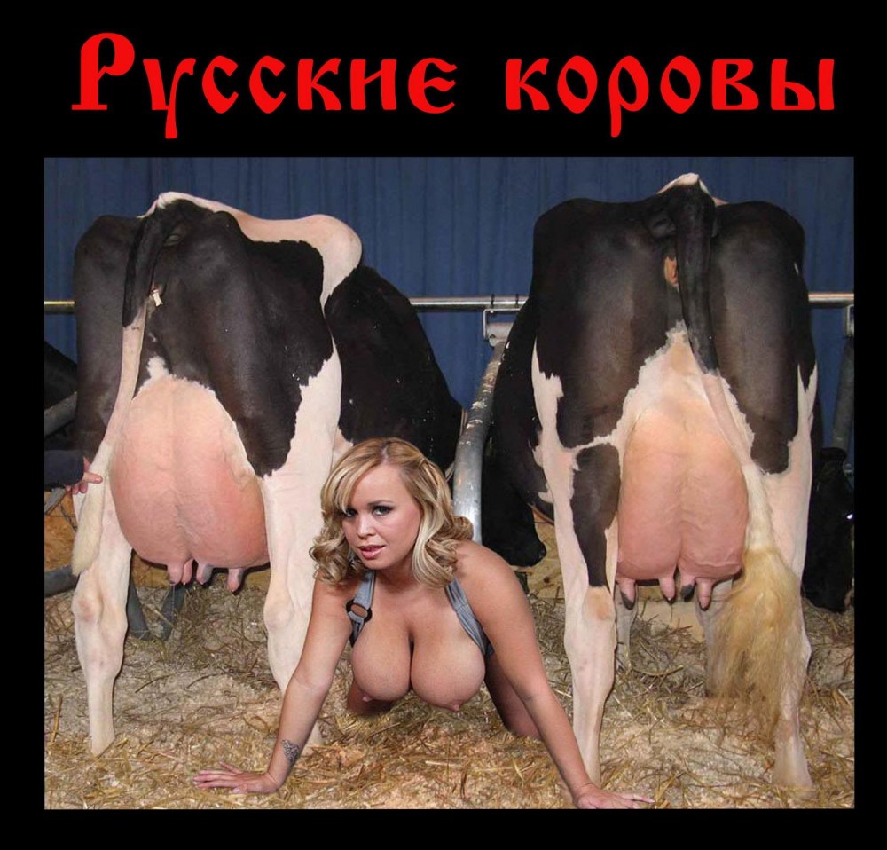 Сисястые доярки на сеновале