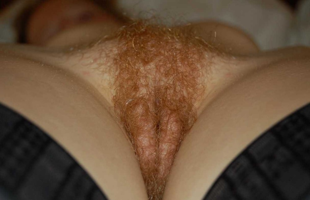 Рыжие волосы на женских лобках