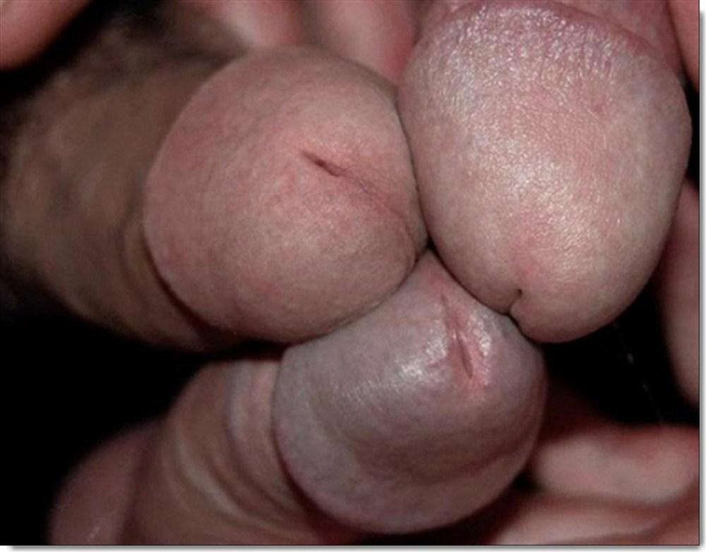 Огромный член крупным планом