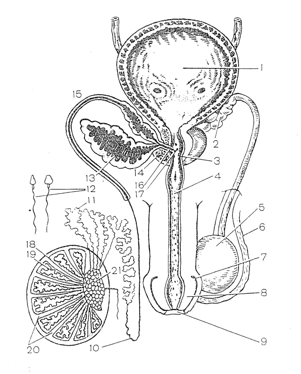 Анекдот про спешку