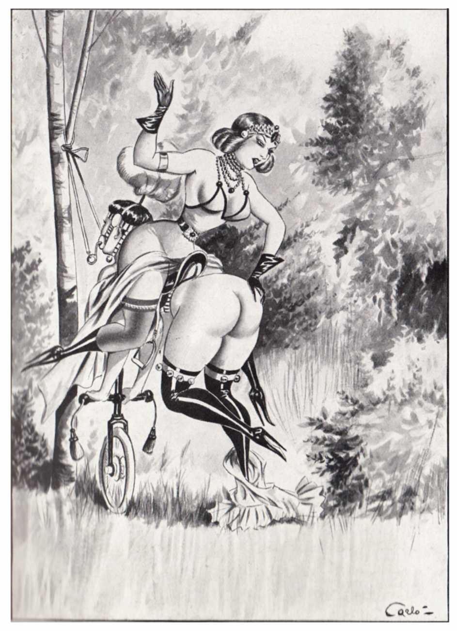 Эротические рисунки дамы и гусары