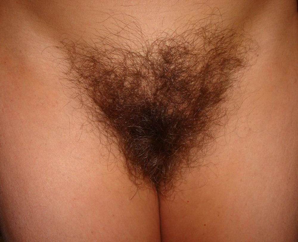 Очень волосатый женский лобок