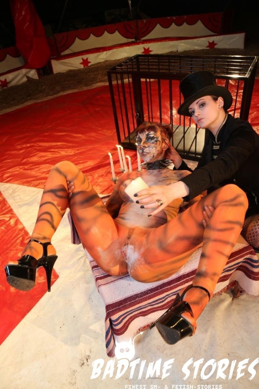 Цирк (порно рассказы и комиксы)