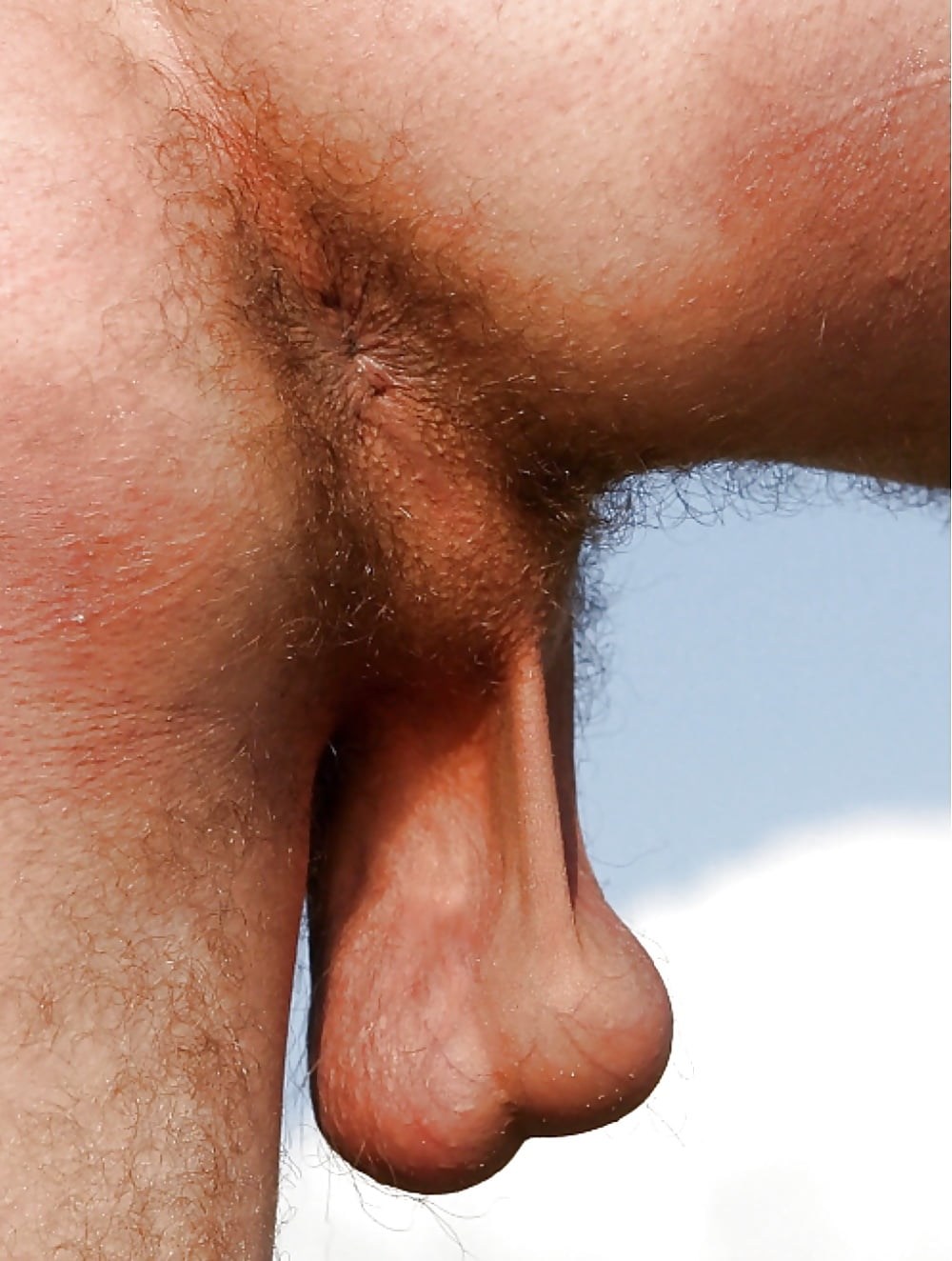 Половой член крупным планом