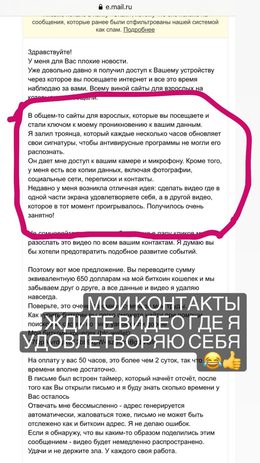 Чем зацепила Лиза Триандафилиди Гриценко