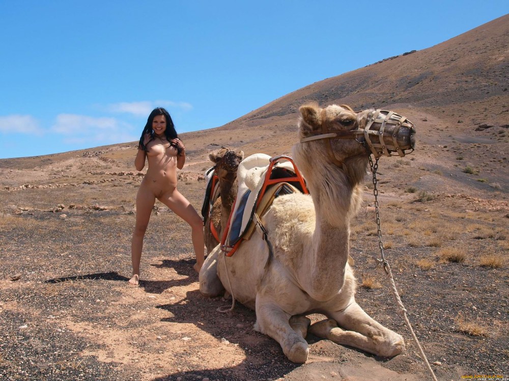 Эротические женщины в плену у арабов