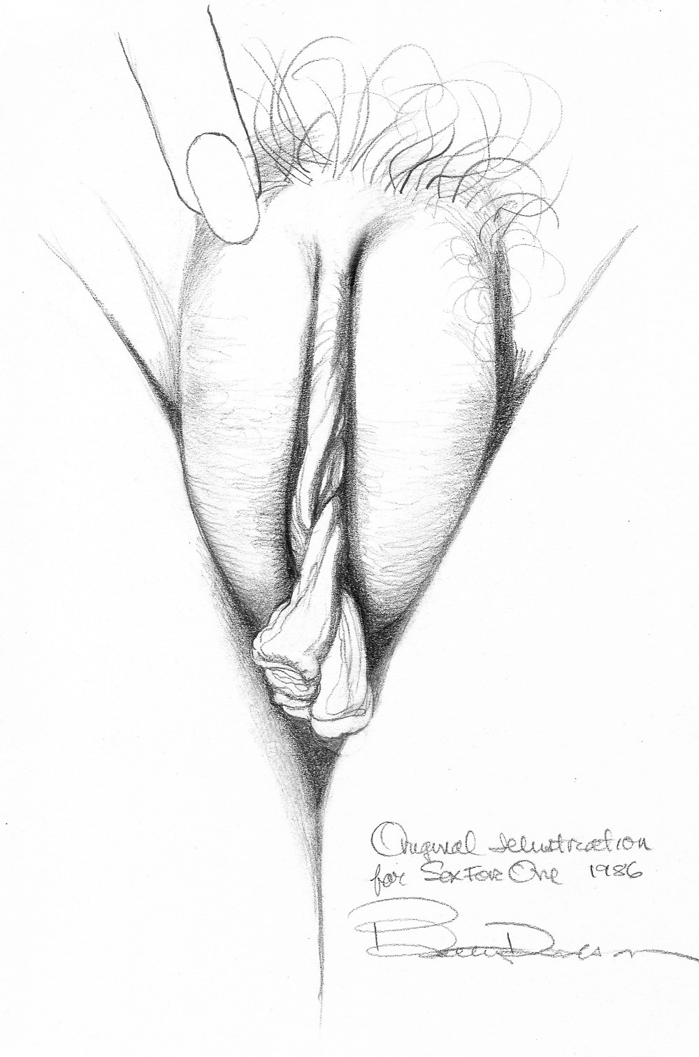 Нарисованная промежность