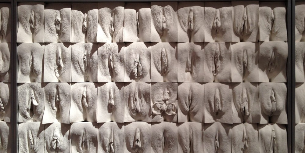 Разновидности женских кисок