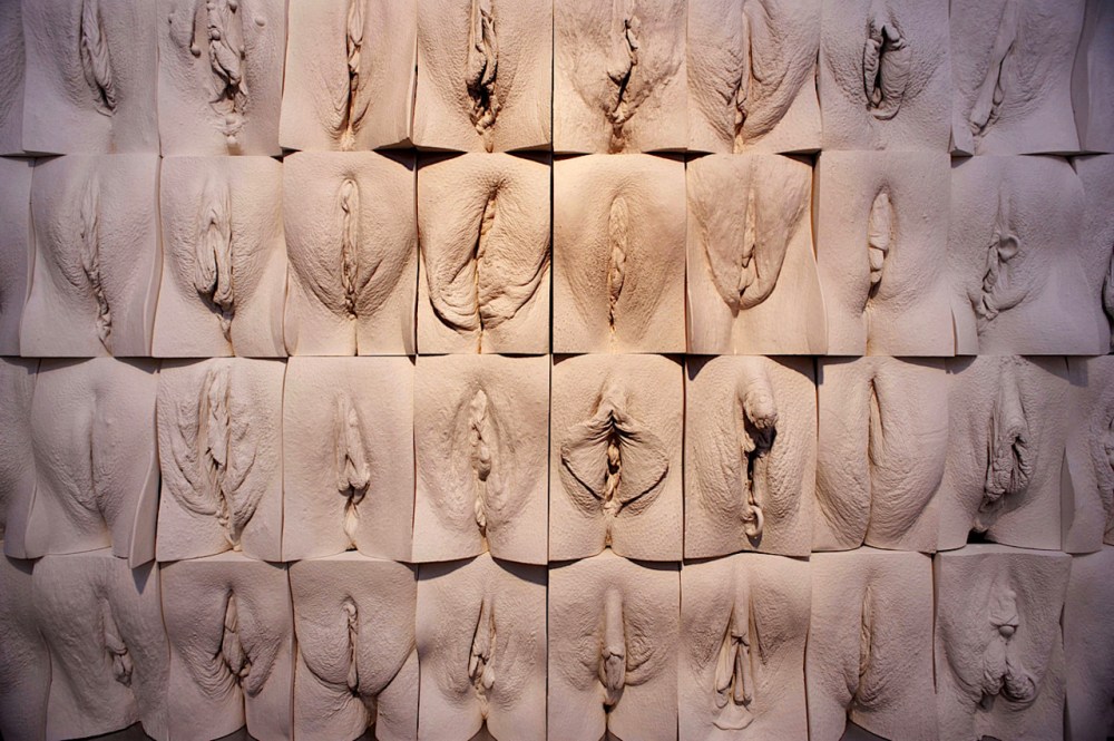 Формы женских половых органов