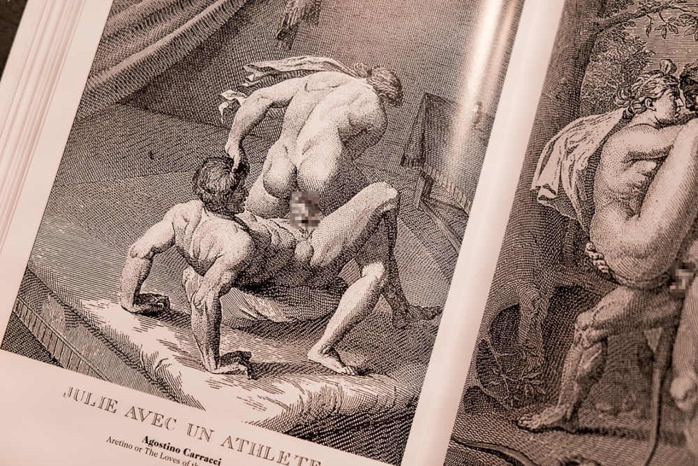 Иоганн Непомук Гейгер эротические иллюстрации