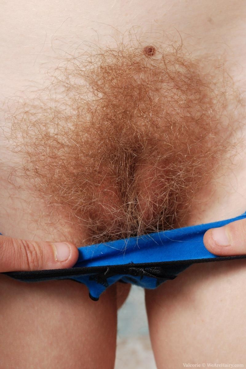 Лобковые волосы женские