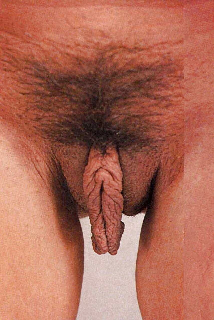 Необычные половые органы