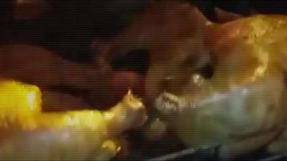 Разделась в баре пьяная