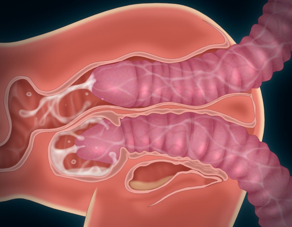 Яой хентай анал изнутри
