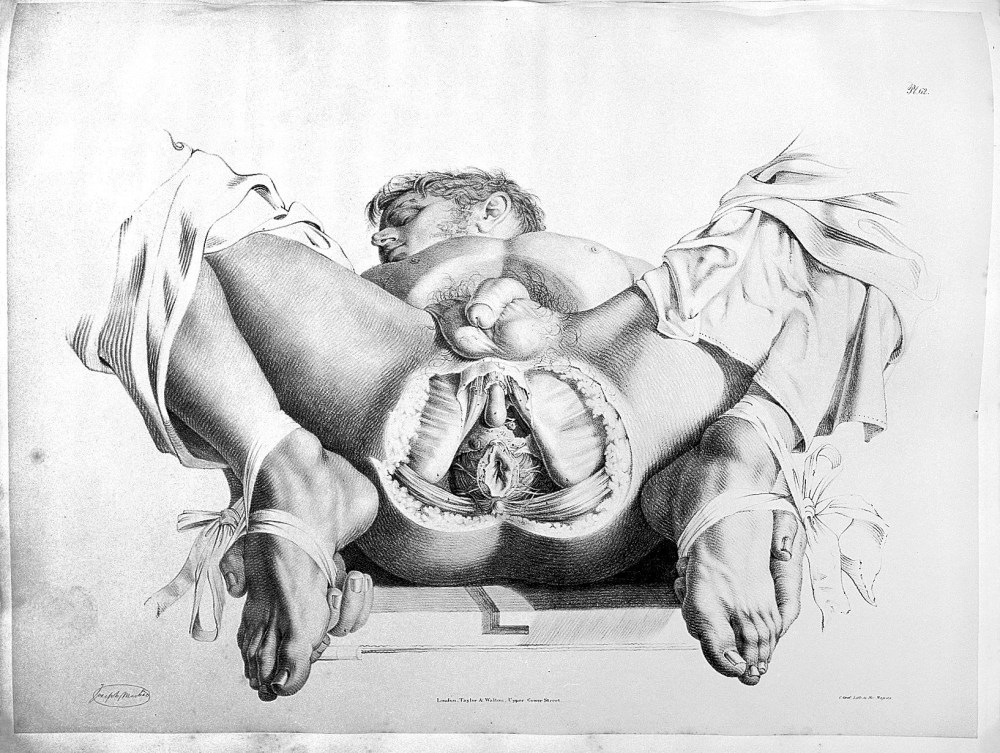 Анатомия влагалище внутри