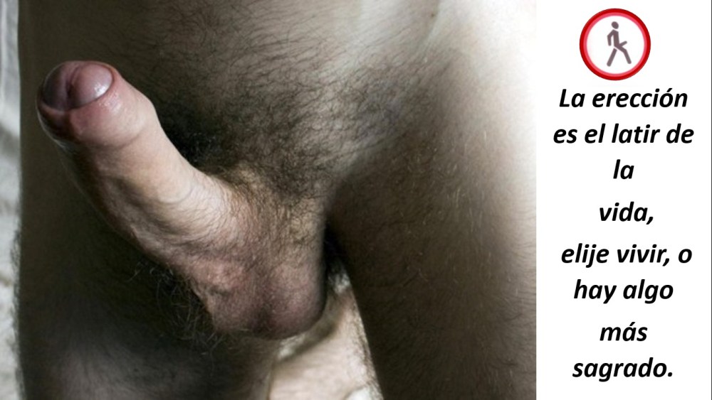 Волосатый пенис подростка