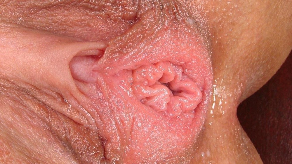 Самые красивые половые губки